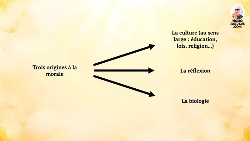 Schéma d’illustration du texte précédant.