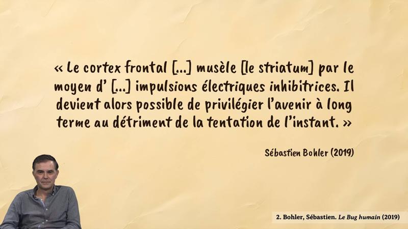 Image d’illustration de la citation : Ce sont avant tout des éléments liés à l’éducation et à l’environnement socio-culturel, qui s’avèrent déterminants.. Citation de 1. Bohler, Sébastien. Le Bug humain (2019).