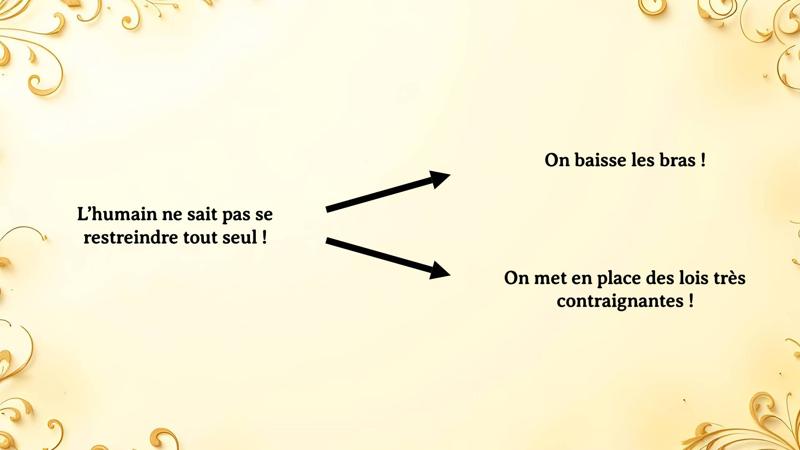 Schéma d’illustration du texte précédant.