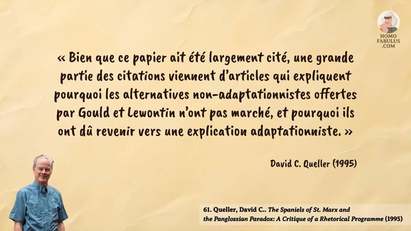 Image d’illustration de la citation : « Bien que ce papier ait été largement cité, une grande partie des citations viennent d’articles qui expliquent pourquoi les alternatives non-adaptationnistes offertes par Gould et Lewontin n’ont pas marché, et pourquoi ils ont dû revenir vers une explication adaptationniste. ». Citation de 61. Queller, David C.. The Spaniels of St. Marx and the Panglossian Paradox: A Critique of a Rhetorical Programme (1995).