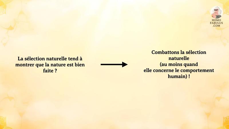 Schéma d’illustration du texte précédant.