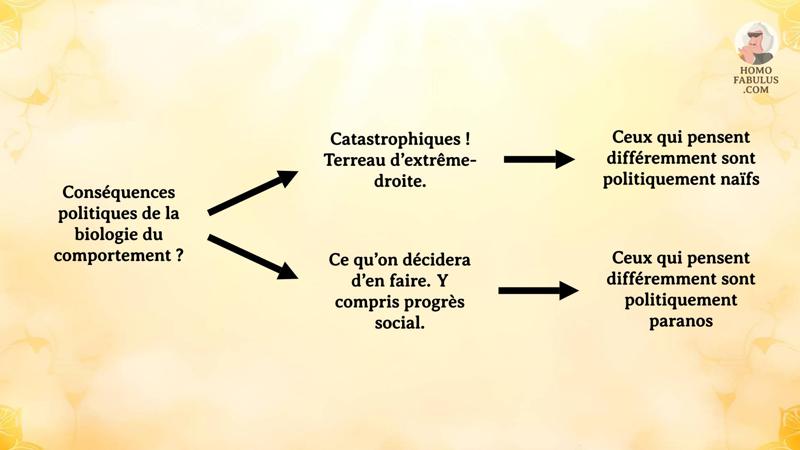 Schéma d’illustration du texte précédant.