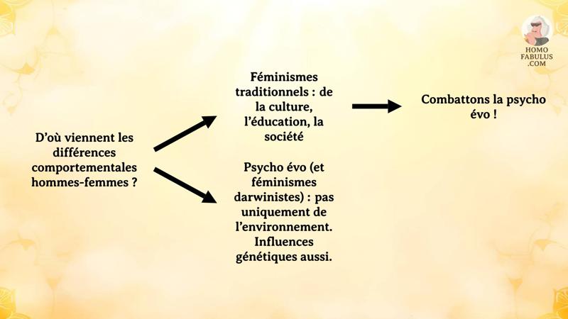 Schéma d’illustration du texte précédant.