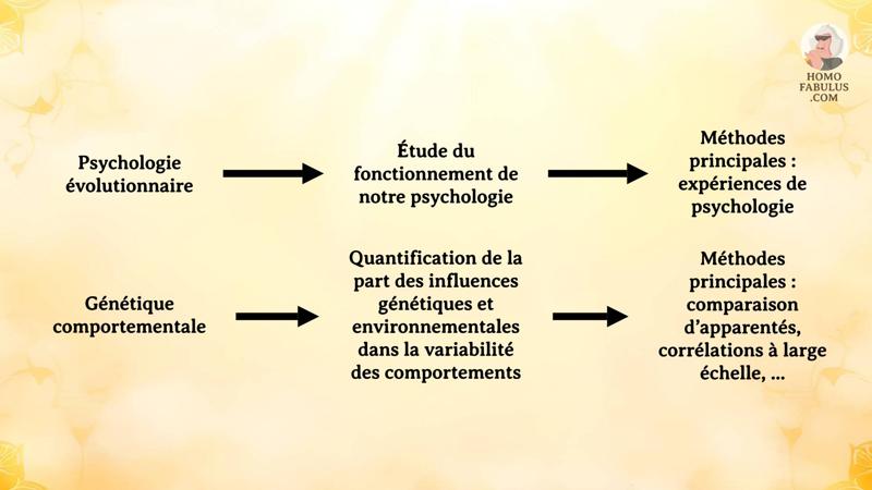Schéma d’illustration du texte précédant.