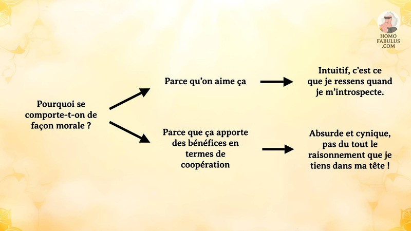 Schéma d’illustration du texte précédant.