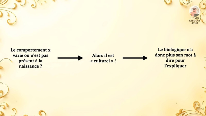 Schéma d’illustration du texte précédant.