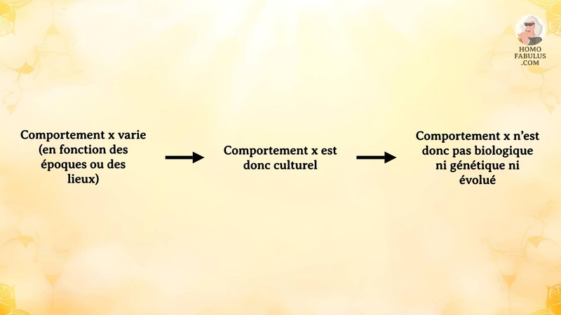 Schéma d’illustration du texte précédant.