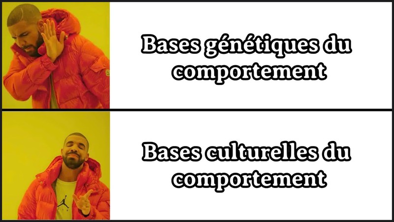 Image d’illustraction vidéo Homo Fabulus