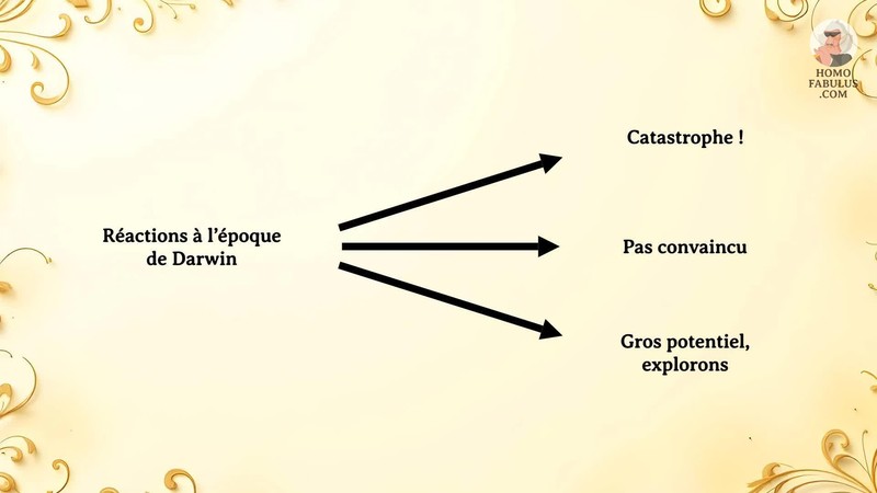 Schéma d’illustration du texte précédant.