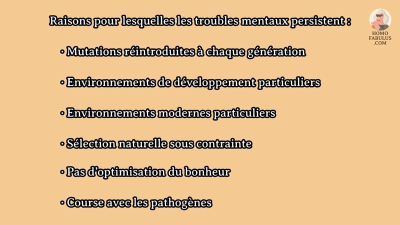 Image d’illustraction vidéo Homo Fabulus