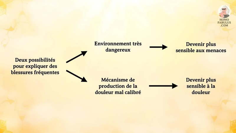 Schéma d’illustration du texte précédant.