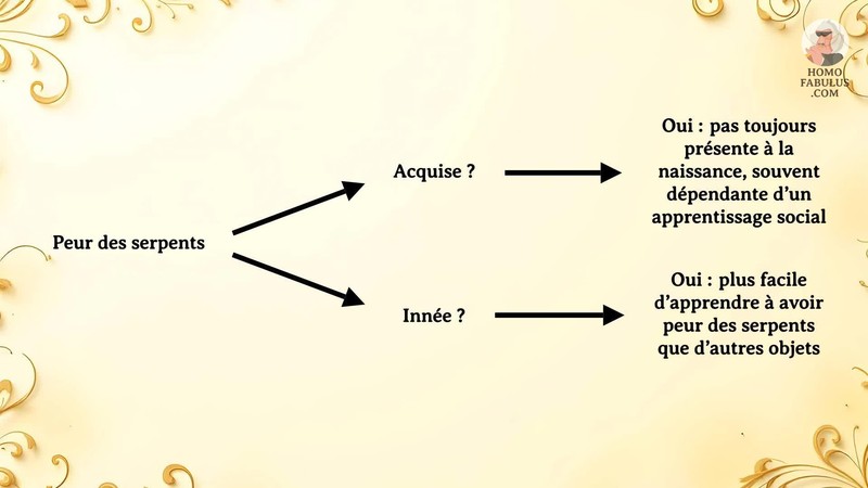 Schéma d’illustration du texte précédant.