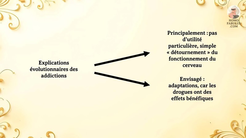 Schéma d’illustration du texte précédant.