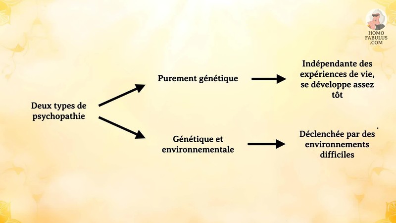 Schéma d’illustration du texte précédant.