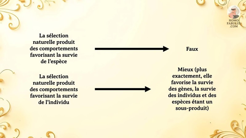Schéma d’illustration du texte précédant.
