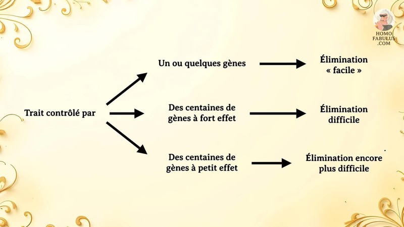 Schéma d’illustration du texte précédant.