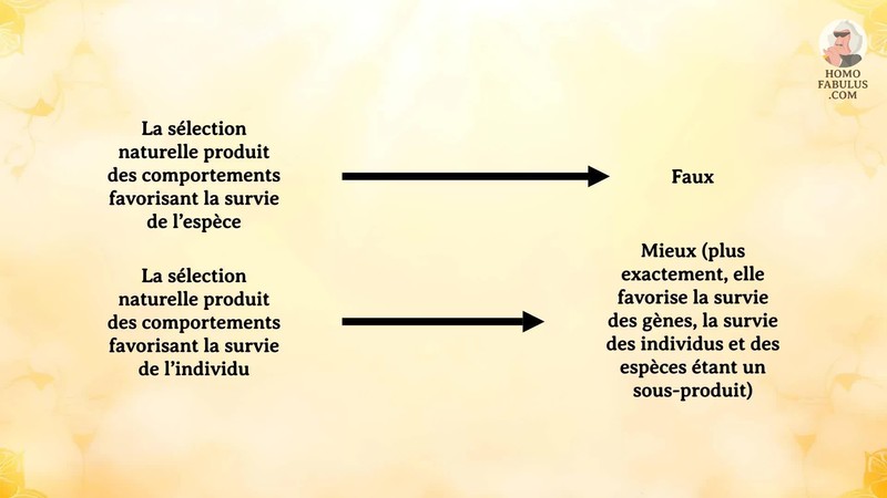 Schéma d’illustration du texte précédant.