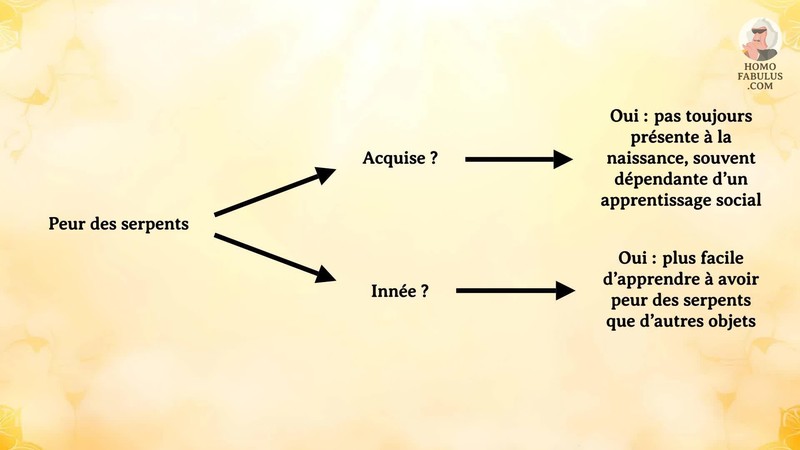 Schéma d’illustration du texte précédant.