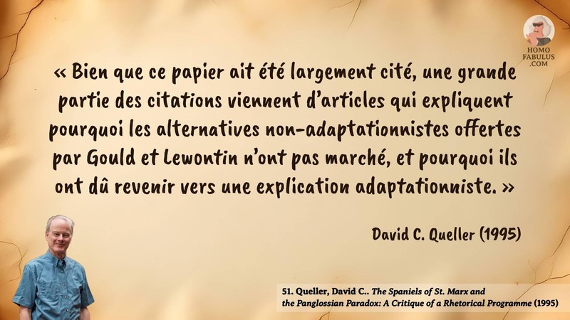 Image d’illustration de la citation : « Bien que ce papier ait été largement cité, une grande partie des citations viennent d’articles qui expliquent pourquoi les alternatives non-adaptationnistes offertes par Gould et Lewontin n’ont pas marché, et pourquoi ils ont dû revenir vers une explication adaptationniste. ». Citation de 51. Queller, David C.. The Spaniels of St. Marx and the Panglossian Paradox: A Critique of a Rhetorical Programme. The Quarterly Review of Biology (1995).