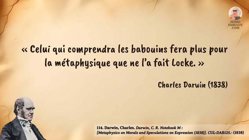 Image d’illustration de la citation : « Celui qui comprendra les babouins fera plus pour la métaphysique que ne l’a fait Locke. ». Citation de 114. Darwin, Charles. Darwin, C. R. Notebook M : [Metaphysics on Morals and Speculations on Expression (1838)]. CUL-DAR125.-.  (1838).