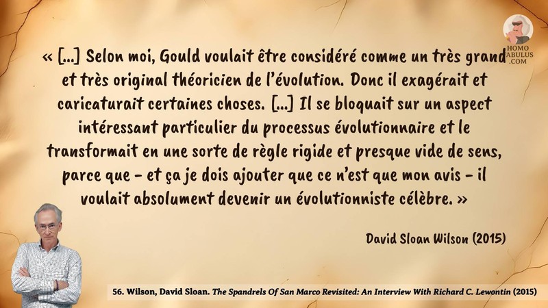 Image d’illustration de la citation : « [...] Selon moi, Gould voulait être considéré comme un très grand et très original théoricien de l’évolution. Donc il exagérait et caricaturait certaines choses. [...] Il se bloquait sur un aspect intéressant particulier du processus évolutionnaire et le transformait en une sorte de règle rigide et presque vide de sens, parce que - et ça je dois ajouter que ce n’est que mon avis - il voulait absolument devenir un évolutionniste célèbre. ». Citation de 56. Wilson, David Sloan. The Spandrels Of San Marco Revisited: An Interview With Richard C. Lewontin.  (2015).