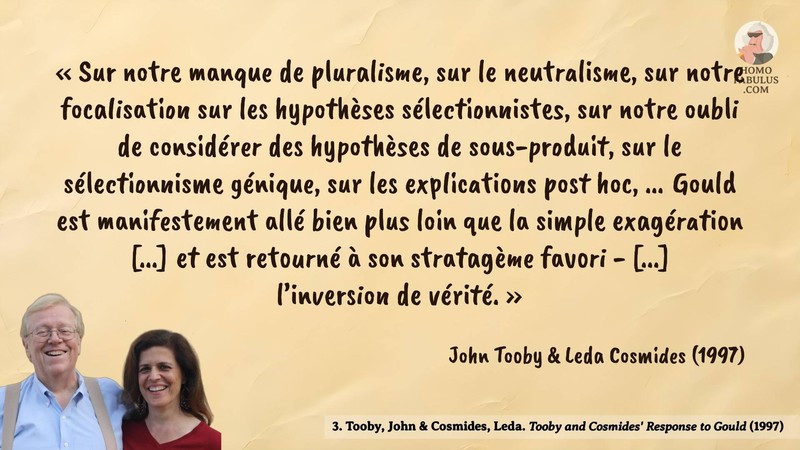 Image d’illustration de la citation : « Sur notre manque de pluralisme, sur le neutralisme, sur notre focalisation sur les hypothèses sélectionnistes, sur notre oubli de considérer des hypothèses de sous-produit, sur le sélectionnisme génique, sur les explications post hoc, ... Gould est manifestement allé bien plus loin que la simple exagération [...] et est retourné à son stratagème favori - [...] l’inversion de vérité. ». Citation de 3. Tooby, John & Cosmides, Leda. Tooby and Cosmides' Response to Gould.  (1997).