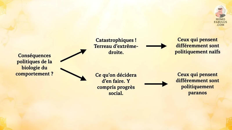 Schéma d’illustration du texte précédant.