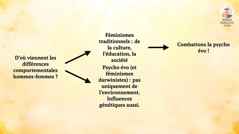 Schéma d’illustration du texte précédant.
