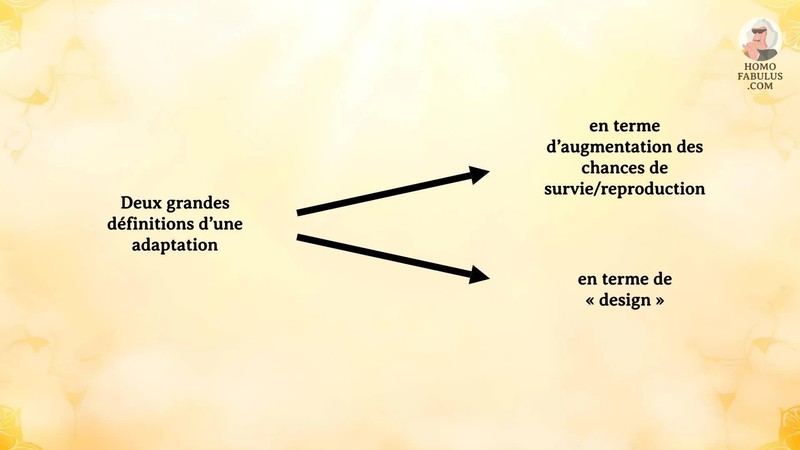 Schéma d’illustration du texte précédant.