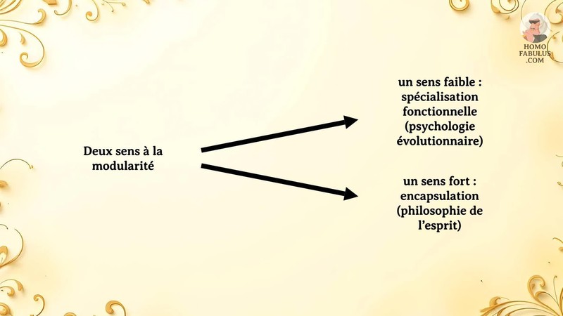 Schéma d’illustration du texte précédant.