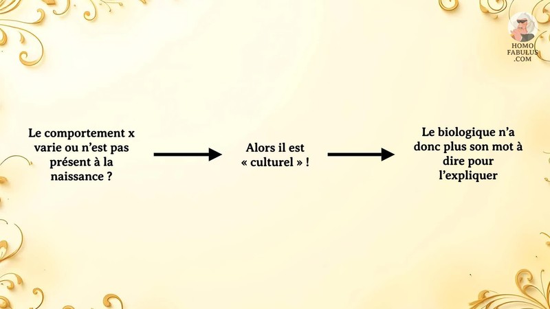 Schéma d’illustration du texte précédant.