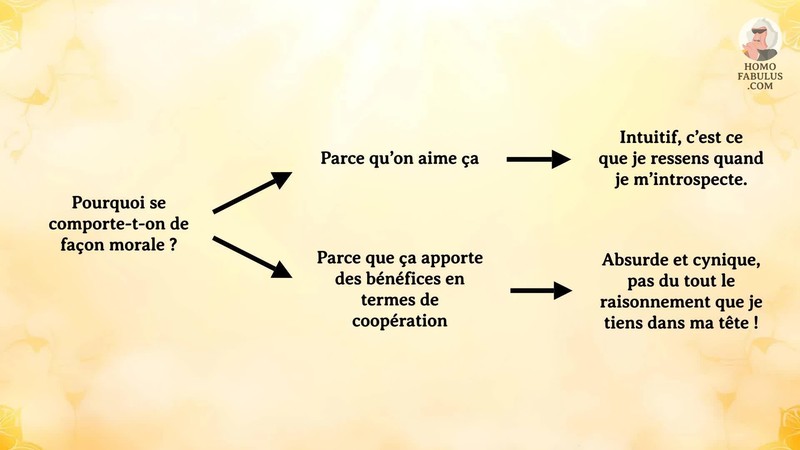 Schéma d’illustration du texte précédant.