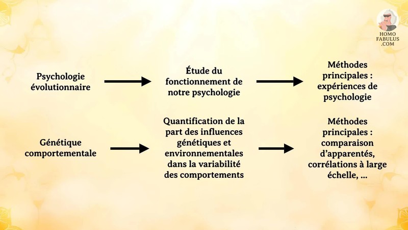 Schéma d’illustration du texte précédant.