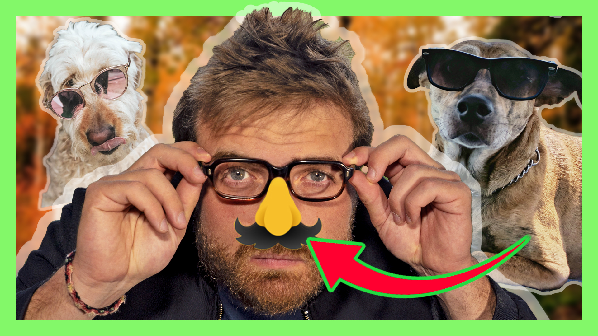 Le nez a évolué pour porter des lunettes – adaptationnisme – psycho évo #3